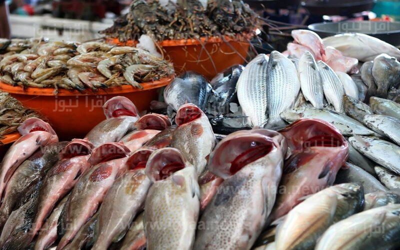 ” البلطي بكام ” أسعار السمك اليوم 12-2-2024 في الأسواق المصرية