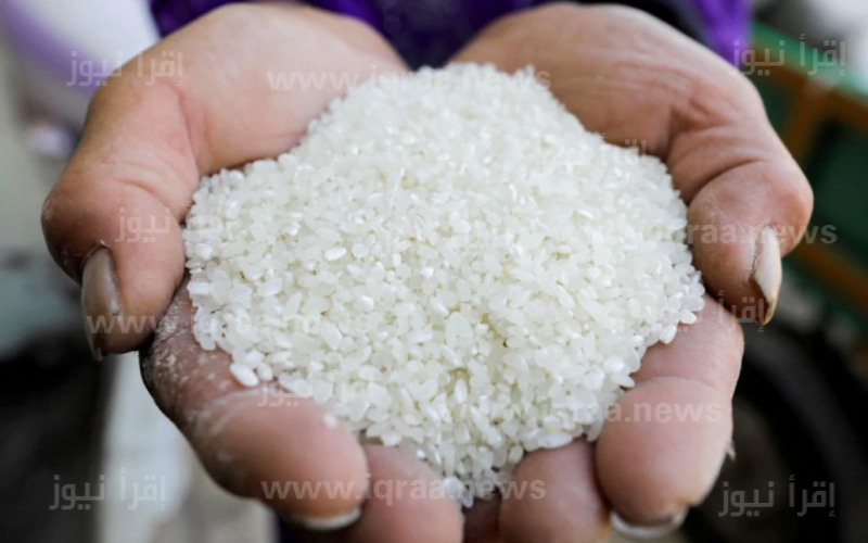 الكيلو رخص 5 جنية .. سعر طن الأرز الشعير اليوم 11 فبراير 2024 انخفاض جديد وفرحة للمستهلك